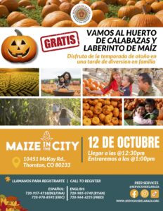 Flyer with pumpkin patch